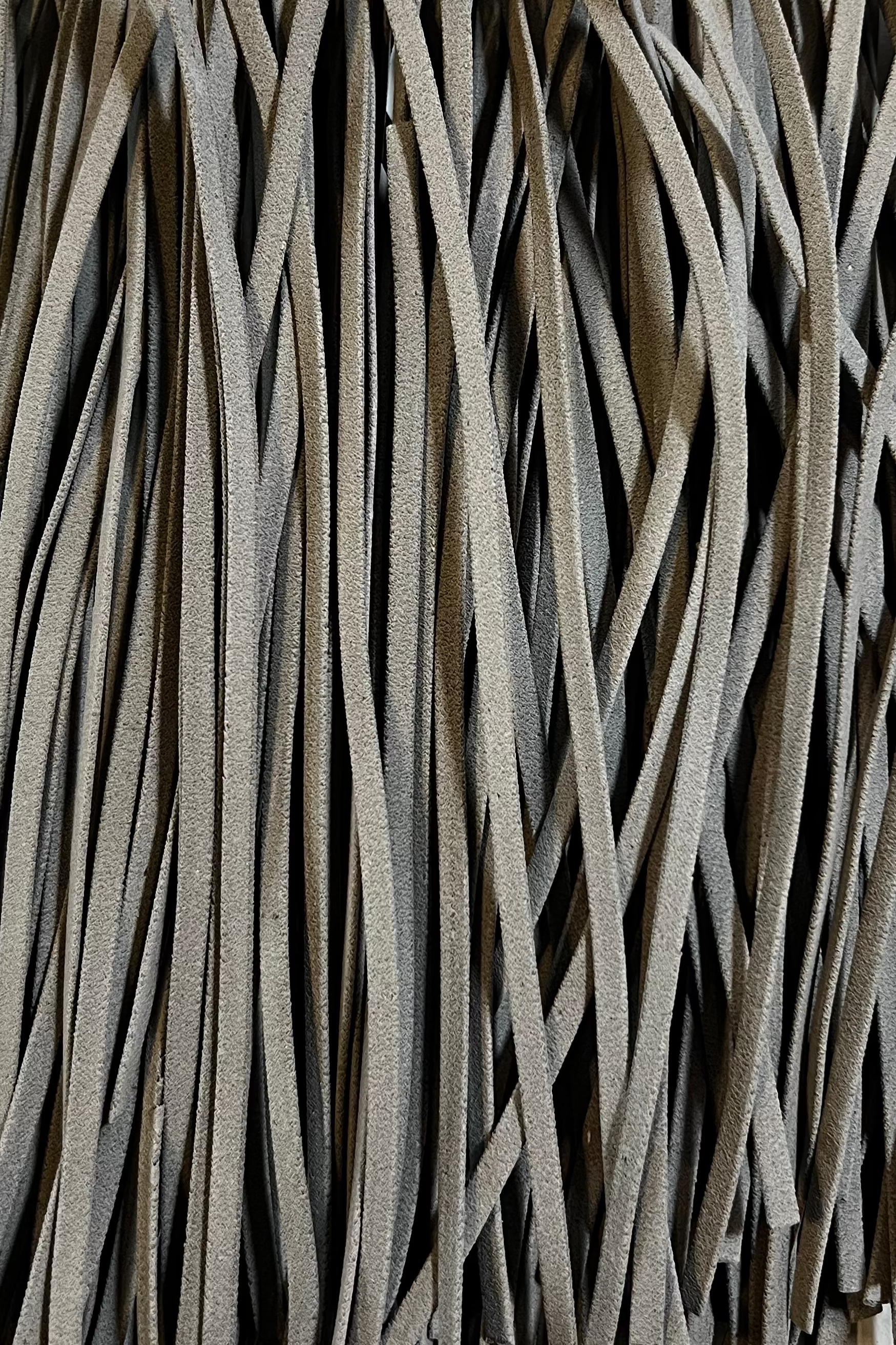 Tallarines con tinta de calamar BIO